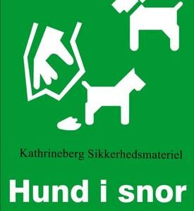 Hund i snor