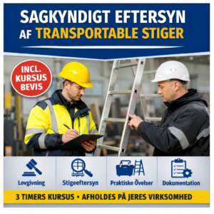Sagkyndigt eftersyn af transportable stiger